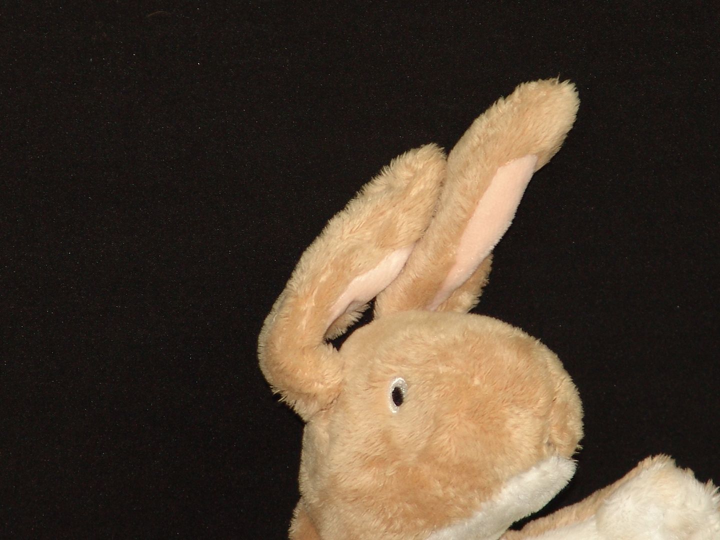 nutbrown hare toy